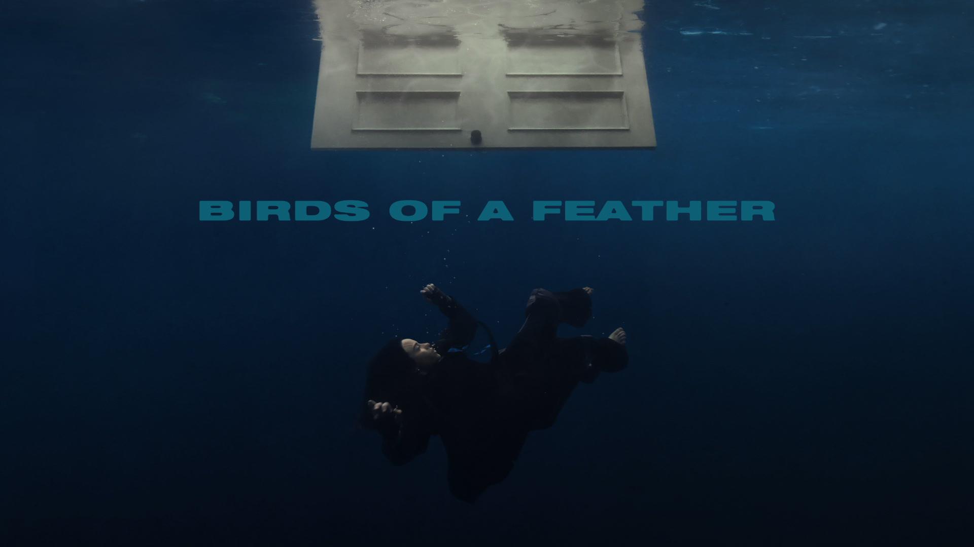 Billie Eilish - BIRDS OF A FEATHER (Lyric Video)