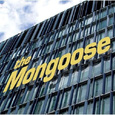 The Mongoose