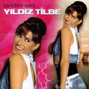 Tanıdım Seni