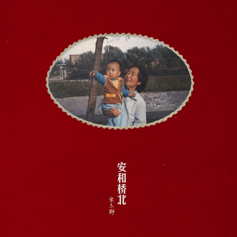 鴿子（翻自 宋冬野） banner