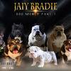 Jaiy Bradie - Won't Let Me Leave (feat. Bonkers)