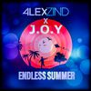 Alex Zind - Endless Summer