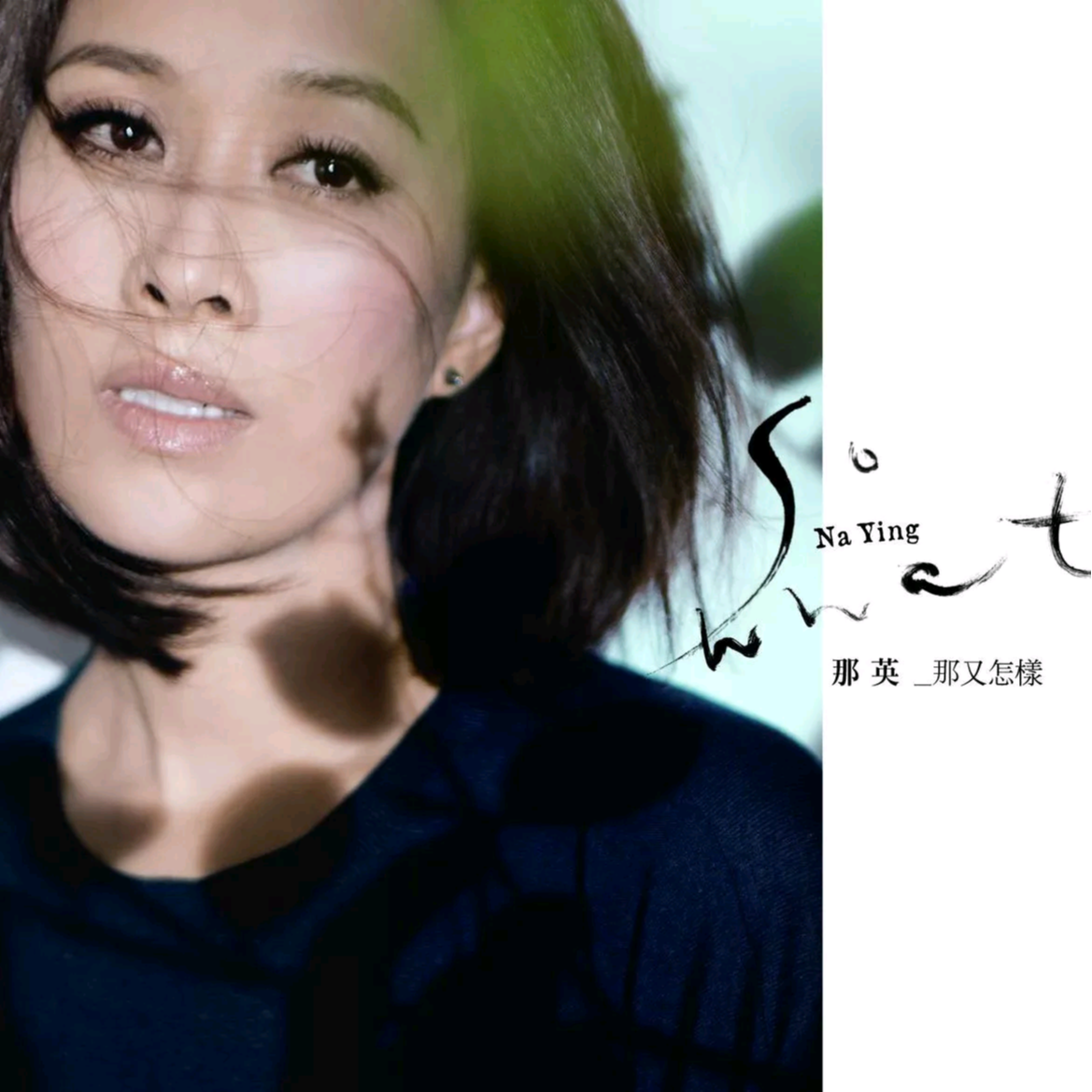 长镜头 海报