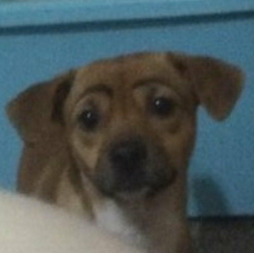 爱听歌的陈陈陈某人