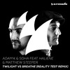 Adam K - Twilight vs Breathe (feat. HALIENE & Matthew Steeper) (Reality Test Extended Remix)