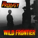 Wild Frontier专辑