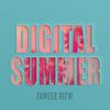 Zameer Rizvi - Endless Summer