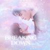 REVENGE应援站 - Breaking Down【某天灭亡走进我家门】OST Part 1