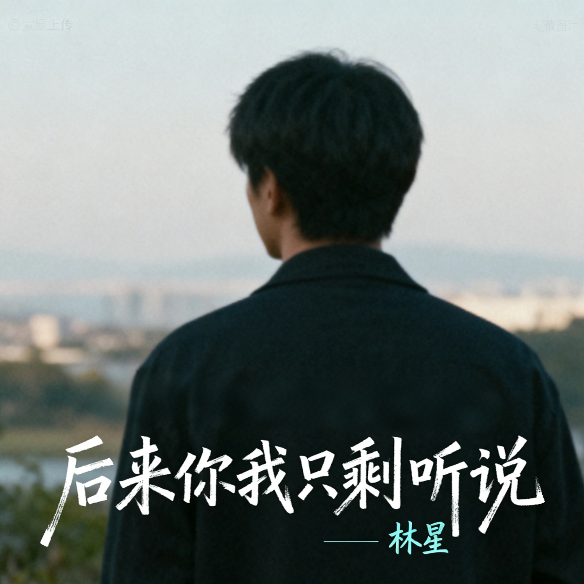 後來你我只剩聽說 海報