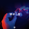 Favst - MOLO