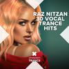 Raz Nitzan - The Last To Know (Extended Mix)