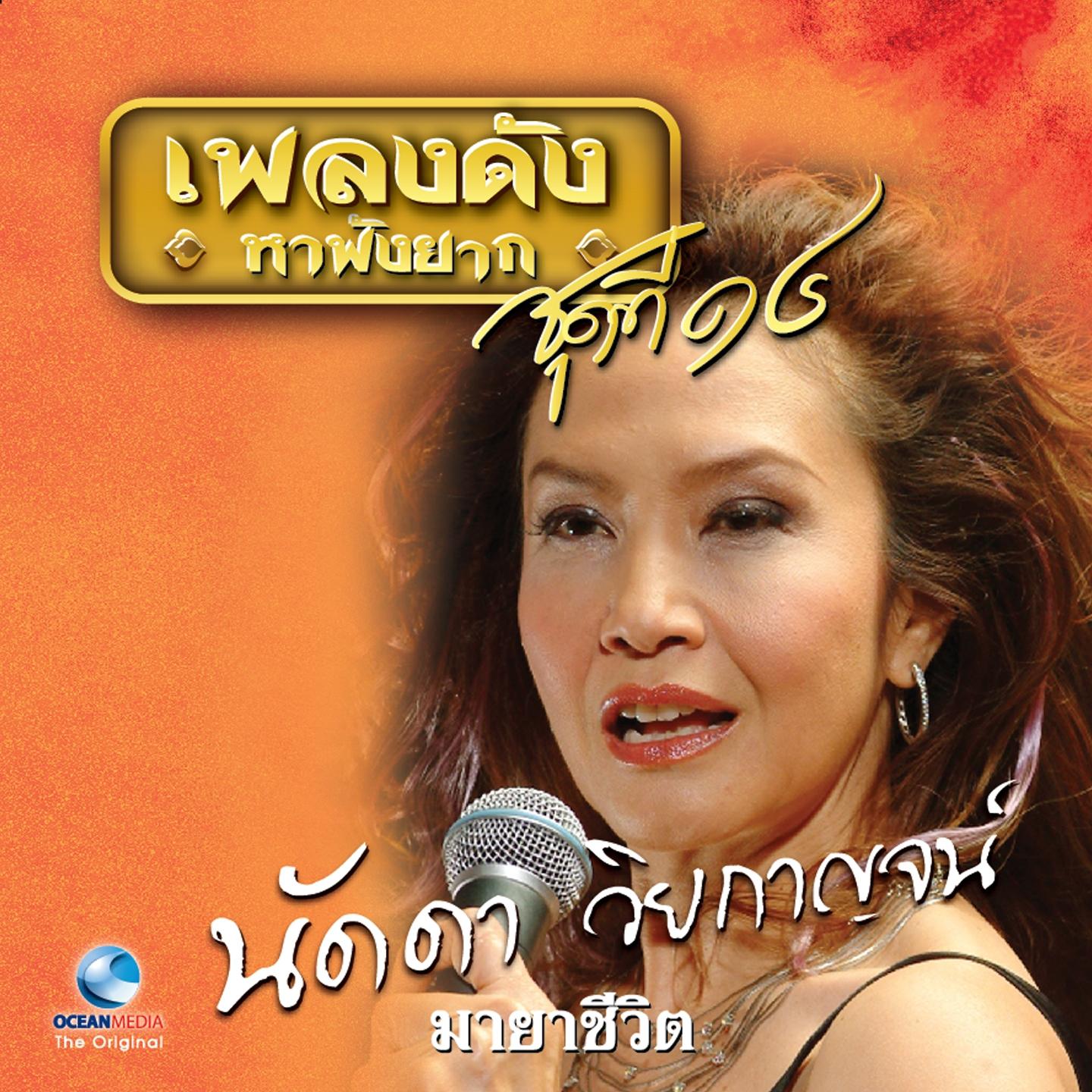 เพลงดังหาฟังยาก, Vol. 14: นัดดา วิยกาญจน์专辑