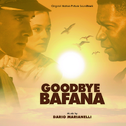 Goodbye Bafana专辑