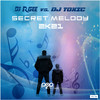 DJ R.Gee - Secret Melody 2k21 (Casaris Remix)