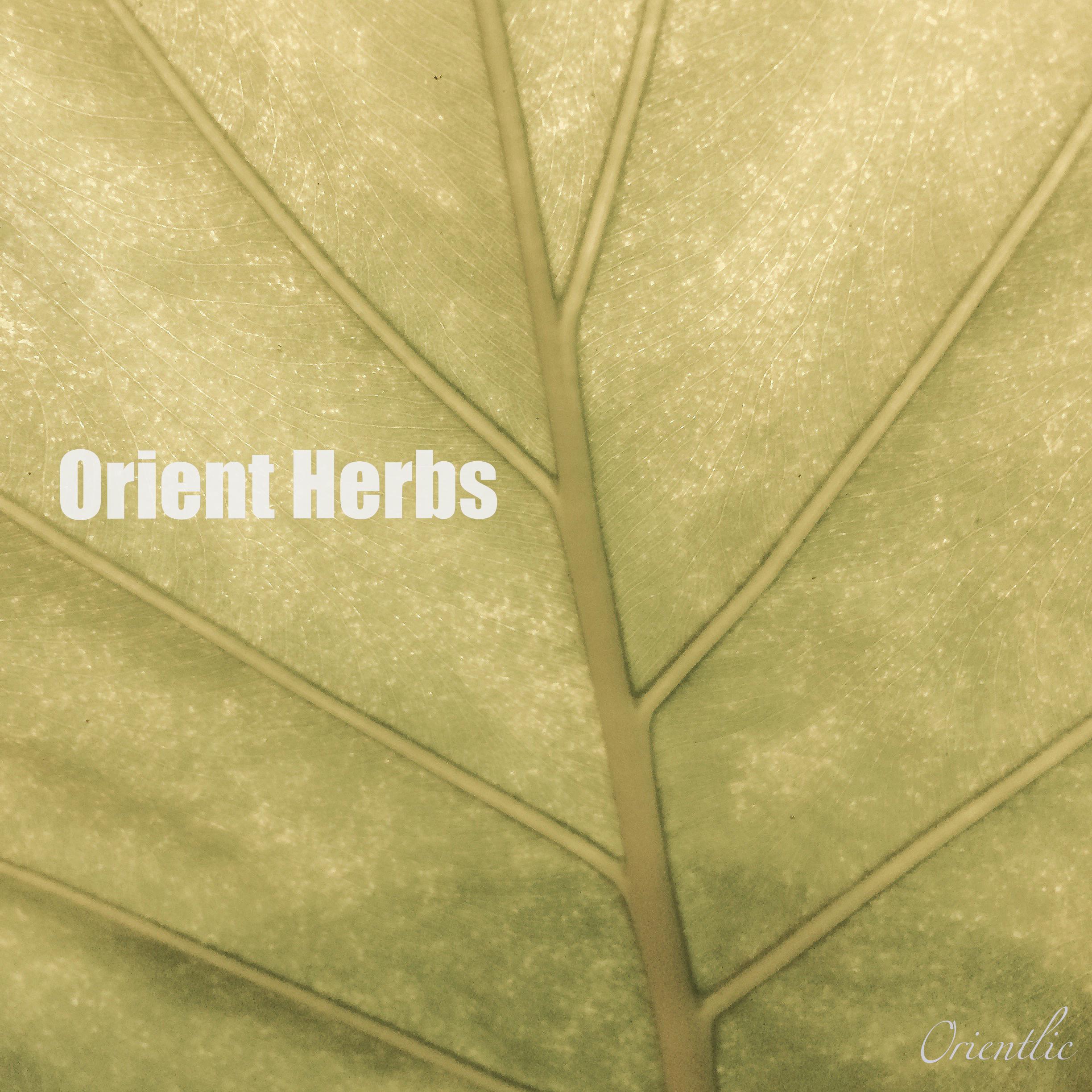 Orient herbs专辑