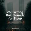 Weather Sounds - Rain on Car