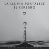 Estudio de sonidos de lluvia - Dedicación Impulsada Por La Llovizna