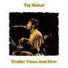 Taj Mahal - Eighteen Hammers (Live)