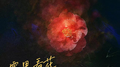 雾里看花专辑