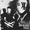 Two Head Snake 双头蛇专辑