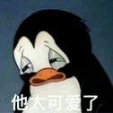 但行好事，莫问前程