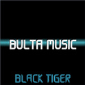 BULTA MUSIC专辑