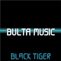 BULTA MUSIC专辑