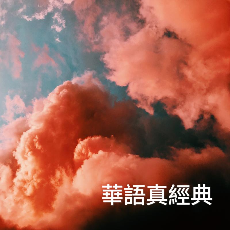 狼 banner