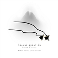 Transfiguration