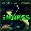 Yung Most - Snakes in the Grass (feat. Dlo & JayBarrrz)