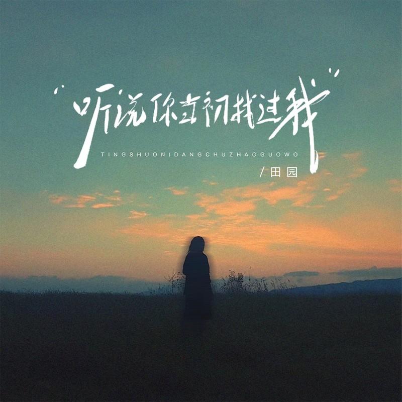 聽說當初你找過我 海報