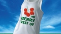 The Berry Vest Of专辑