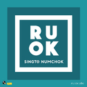 R U OK (เช็ด)