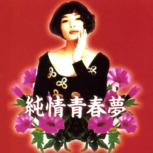 純情青春夢 海報
