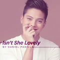 Isn\'t She Lovely - Single