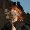 Goldfrapp - Zodiac Black