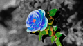 Blue Rose专辑