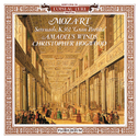 Mozart: Serenade K.361 \"Gran Partita\"专辑