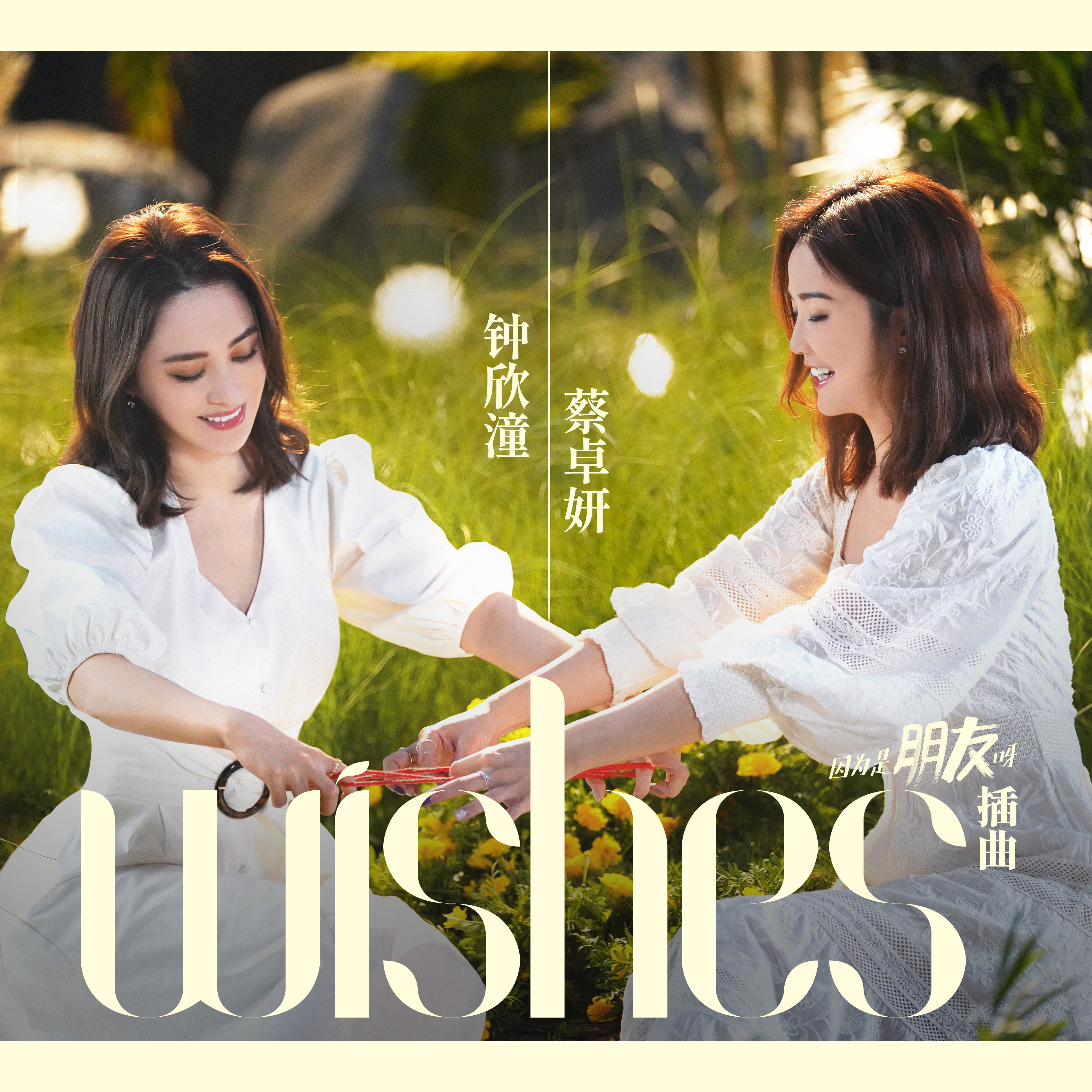 Wishes专辑