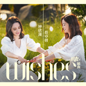 Wishes专辑