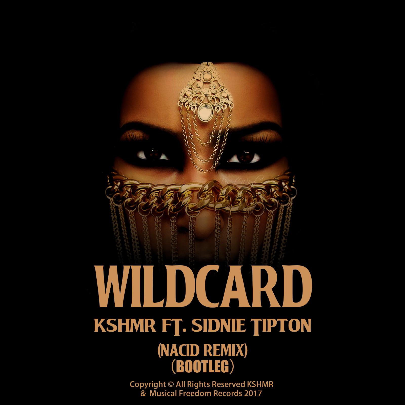 Remix My Life Project Pt.2:Wildcard Remix专辑