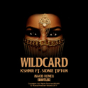 Remix My Life Project Pt.2:Wildcard Remix专辑