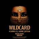 Remix My Life Project Pt.2:Wildcard Remix专辑