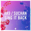 AK9 - Sing It Back (Extended Mix)