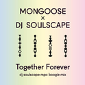 Together Forever (DJ Soulscape Mpc Boogie Mix)专辑