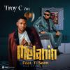 Troy C Zm - Melanin (feat. T-Sean)