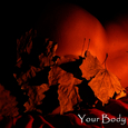 Your Body