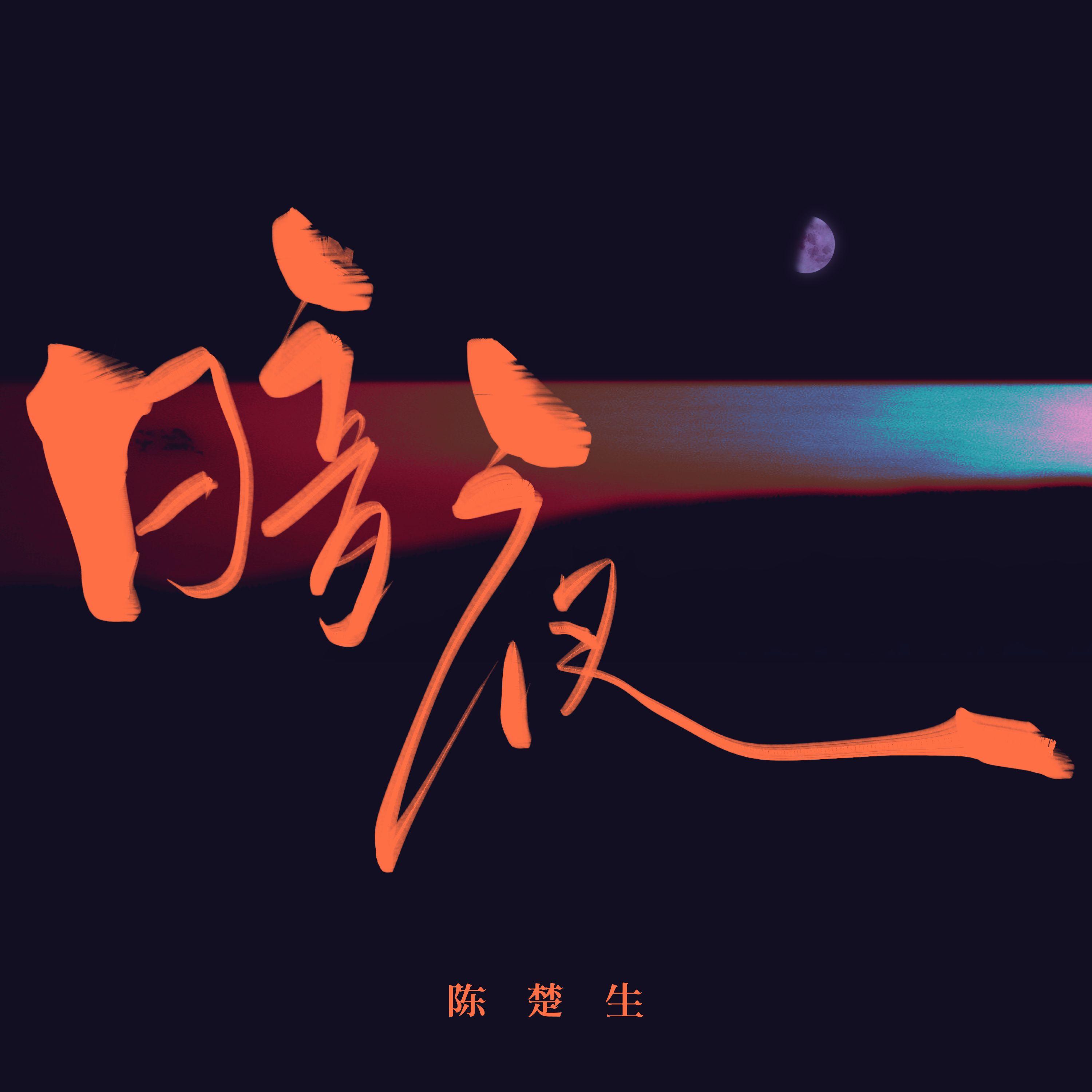 暗夜 海報