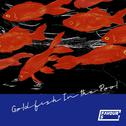 Goldfish in the Pool专辑