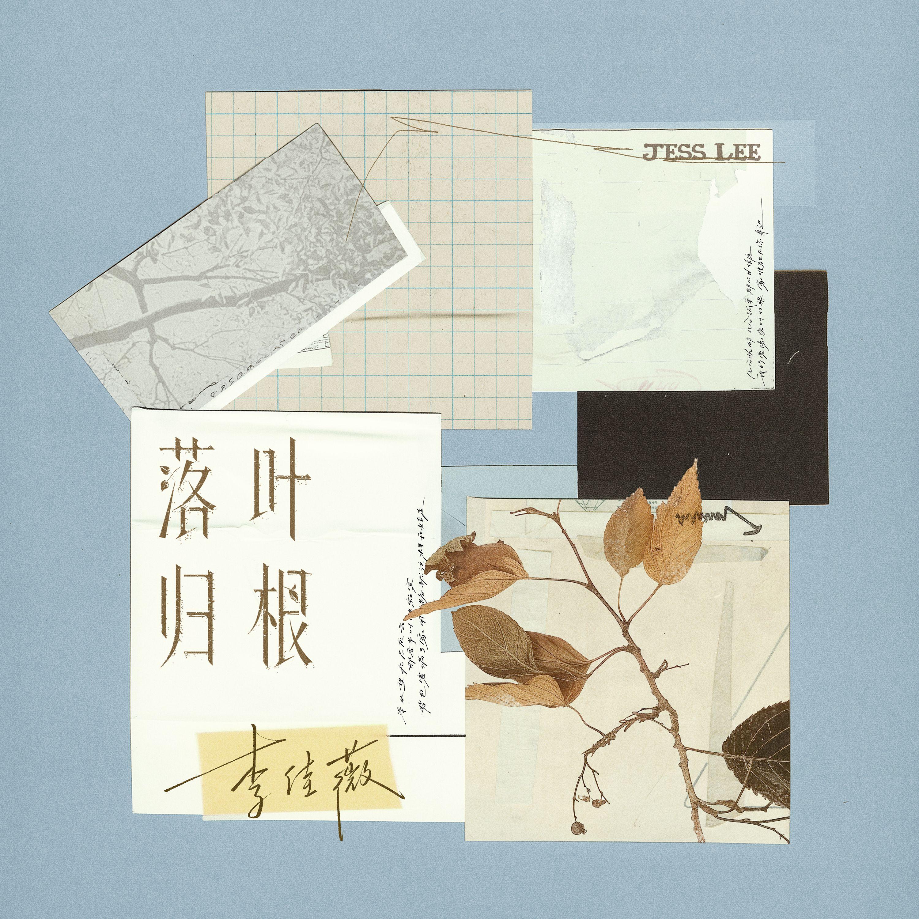 落葉歸根 banner